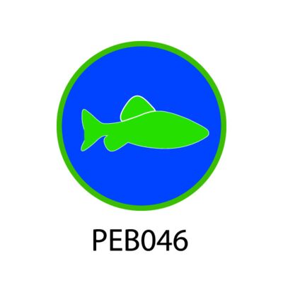 PEB046 - Fishing Thumbnail