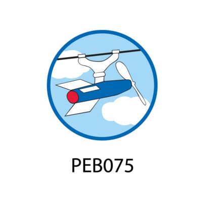 PEB075 - Flying Thumbnail